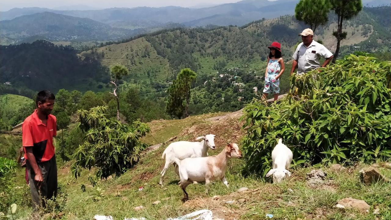 Dwarahat Village Farmstay- Babaji'S Cave ภายนอก รูปภาพ