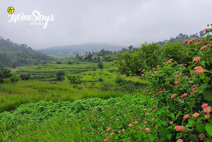 Dwarahat Village Farmstay- Babaji'S Cave ภายนอก รูปภาพ